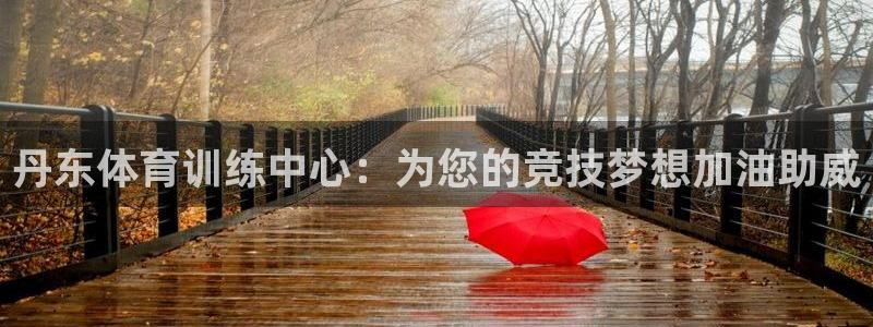 3377体育官网下载招商:丹东体育训练中心:为您的竞技梦想加