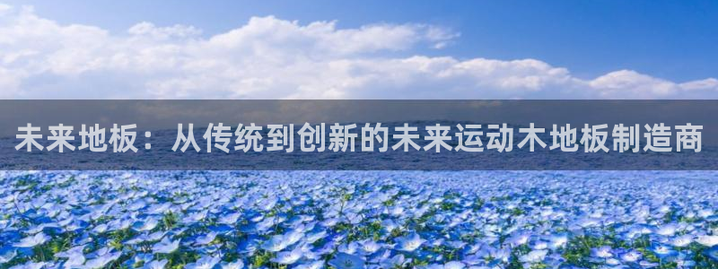 3377体育官网下载招商电话号码:未来地板:从传统到创新的未