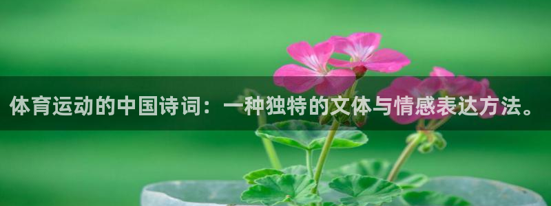 注册3377体育官方正版app:体育运动的中国诗词:一种独特